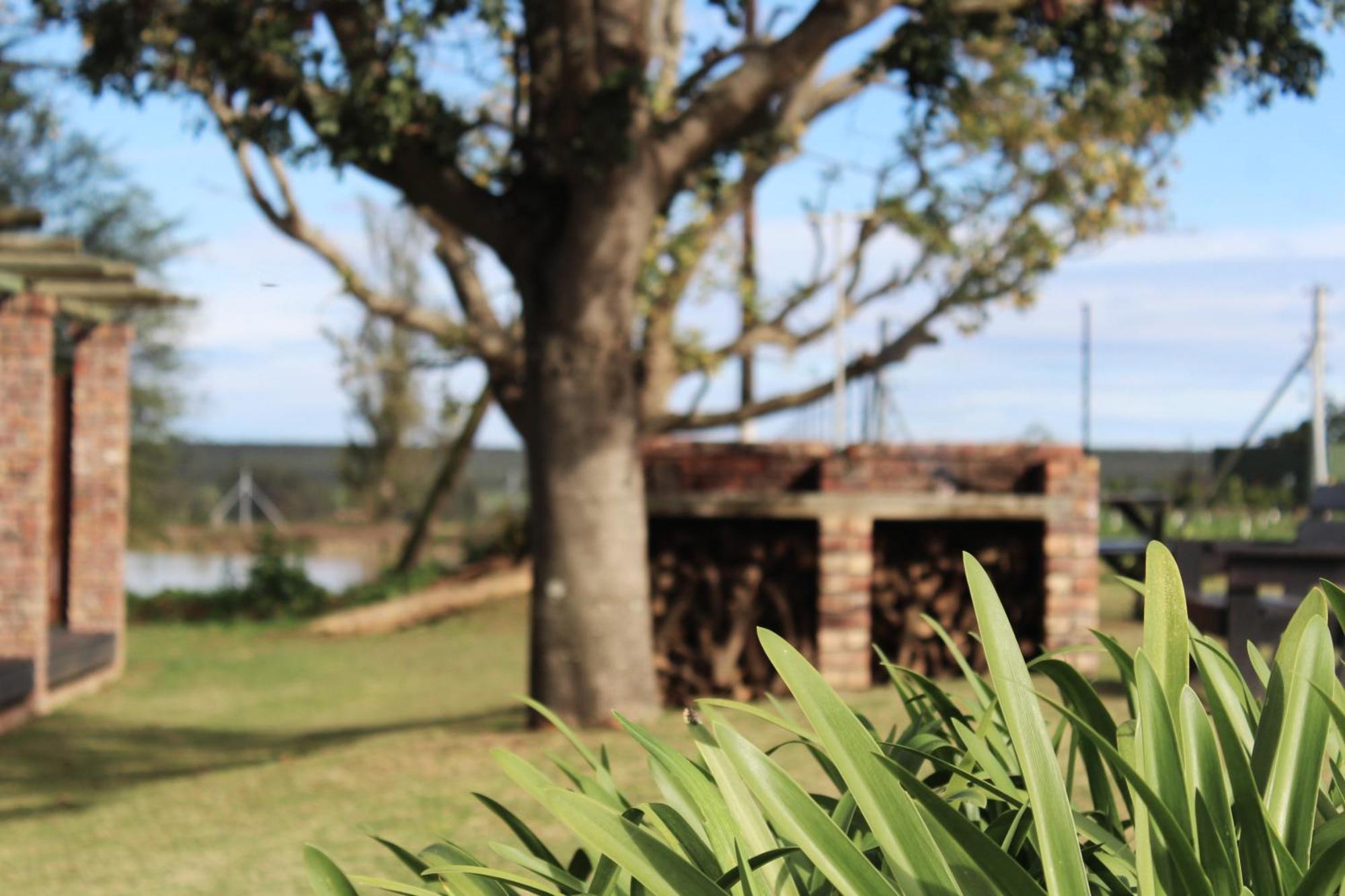 Bydand B&B Addo Buitenkant foto